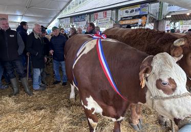 Les prix de championnat, grâce au ruban tricolore, ont attiré l'œil des passants.