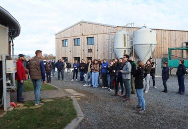 Le marcheur, outil indispensable dans le système d'écurie pensée par Guillaume et Dorothée Lambertz, fonctionne six à sept heures par jour. 
