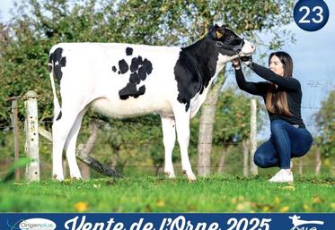 La génisse, Ambre F PP, a décroché le top price à 13 000 €. Un prix meilleur qu'au Space six semaines plus tôt.