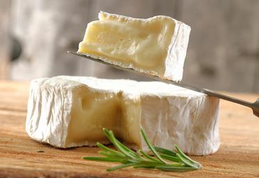 La Cibem va fermer ses portes d'ici la fin du printemps 2026.