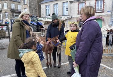 Vache Normande, génisses Jersiaises, ânesse du Cotentin, cochon, poules... ont été apprécié par les visiteurs.