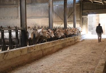 "Nous demandons aux autorités compétentes de renoncer à tout projet de prise en charge de cadavres infectés par la DNC sur le site de Saint-Langis-lès-Mortagne".