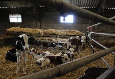 "Les outils existent, mais ils n'ont de sens que s'ils s'inscrivent dans une stratégie claire", intervient Mathilde Enjalbert, conseillère d'exploitation et référente production d'Elvup.