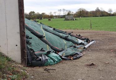 Lors de la conservation des fourrages, Erik Sulmont, responsable grands comptes ruminant chez Lallemand, estime à "5 % les pertes incompressibles".