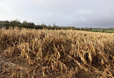 Les aléas climatiques ont de fortes conséquences sur les productions fourragères, notamment dans certains secteurs de l'Orne.