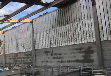 En pleine période d'agnelage, les producteurs sont inquiets. Au Gaec Duquesne, des agneaux ont perdu la vie.