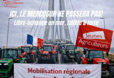 Les agriculteurs normands ont rendez-vous sur le pont de Normandie le 10 janvier prochain pour garder la pression.