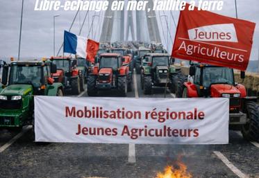 Les JA Normandie se positionnement sur le pont de Normandie le 5 janvier dès midi en regardant au large des côtes pour dénoncer l'entrée de produits issus de l'accord du Mercosur.