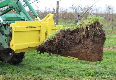 "La santé d'un sol repose sur son activité biologique, invisible à l'œil nu mais déterminante pour la fertilité et la résilience des cultures. Un sol vivant est un sol habité."