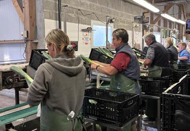 La culture du poireau et la commercialisation sont demandeuses de main-d'œuvre.