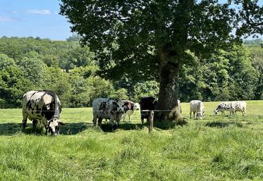 "L'assemblée est un moment important pour comprendre les dynamiques en cours, poser des questions et contribuer aux réflexions collectives", précise Valentine Latimier, présidente.