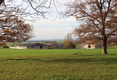 La Communauté de communes Terre d'Auge doit construire une aire de grand passage. Un projet qui inquiète Sébastien Lemière (illustration).