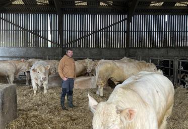 Jean-Baptiste, Hugues et Maxime Lalonde accueilleront la prochaine assemblée générale du syndicat Charolais du Calvados sur leur ferme à Saon, dans le Bessin. Ils y élèvent, entre autres, 120 mères Charolaises.