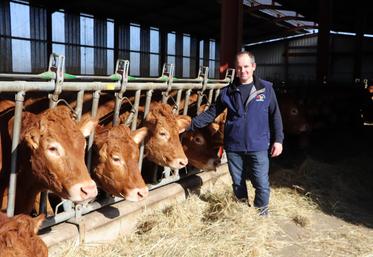Thibault Ecalard est installé dans le Pays d'Auge à Livarot. Adhérent du syndicat de race Limousins du Calvados, il accueillera l'assemblée générale, réservée aux membres, jeudi 19 mars.