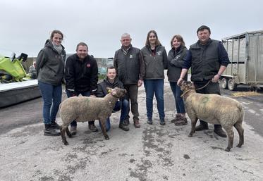 Les deux béliers qui ont décroché la plus belle enchère partent pour l'un à Rauville-la-Place, à l'EARL de la Mare, acquis en co-propriété avec le Gaec du Gard, et le second chez Sylvain Debout, éleveur à Eroudeville.