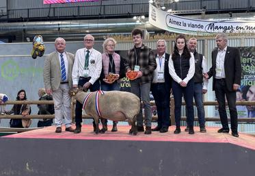 L'élevage de Nelly Faribaud s'impose en Roussin dans le championnat de conformation.