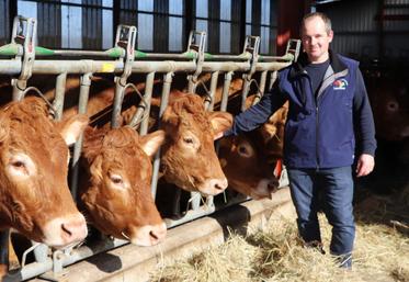 Thibault Ecalard est installé dans le Pays d’Auge à Livarot. Adhérent du syndicat de race Limousins du Calvados,il accueillera l'assemblée générale, réservée aux membres, jeudi 19 mars.