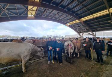 Les trois animaux du prix de championnat sont issus pour deux d'entre eux de l'Eure (famille Portman) et un second de la Manche (Freddy Leconte).