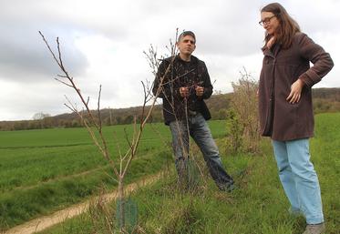 Sylvain Durey (agriculteur bio à Saint-Jean-de-la-Forêt) et Julia Hégédus (animatrice haies au Parc).