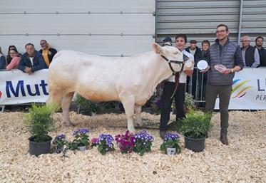 Grégoire Maguet (14 ans) repart avec la première place de la section jeunes talents (concours races allaitantes).