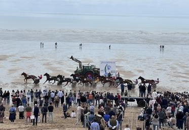 Pas moins de sept courses au trot se disputeront le 17 mai sur l'hippodrome marin de Jullouville. Le coup d'envoi sera donné dès 13 h 45.