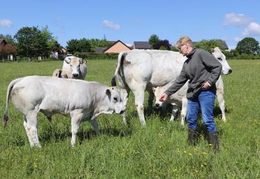 Maryline Bannier, installée près de Falaise, élève des vaches Piémontaises. 