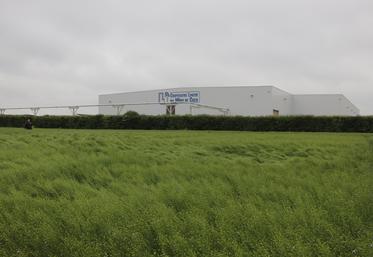 La Coopérative linière du nord de Caen a mené des essais variétaux sur le lin d'hiver. Elle a proposé un premier bilan, en fin de croissance, à ses adhérents, mardi 5 mai. Ce n'est pas la météo capricieuse qui a eu raison de l'événement. Bien au contraire, les gouttes de pluie ont permis aux liniculteurs de venir assister à la rencontre.
