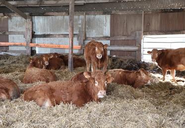 "C'est une bonne année en lait et en viande."