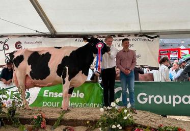 Avec la vache du Gaec du Gard, Alban Gosselin a passé l'épreuve du concours de présentateurs en décrochant la première place. 