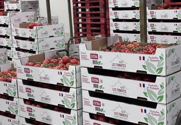 Les Serres du Buat prévoient de s'étendre sur 16 ha supplémentaires à Isigny-le-Buat.