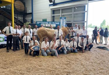 La race Blonde d'Aquitaine a été mise à l'honneur sur le ring de Vire, samedi 13 juin. Dès 9 h 30, des élevages du Calvados et de l'Orne se sont affrontés dans un départemental élargi, en toute convivialité.