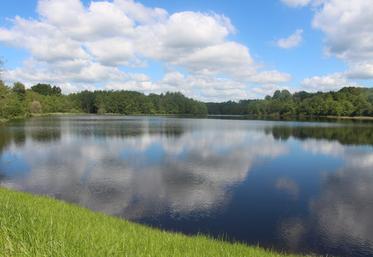 L'inauguration de l'étang de Rumien, à Longny-les-Villages, s'est déroulée mardi 12 mai 2026. L'étang, classé sur deux sites Natura 2000, a connu deux mois de travaux de curage (entre juin et août 2025) dans le but de préserver sa biodiversité et ces espèces protégées.