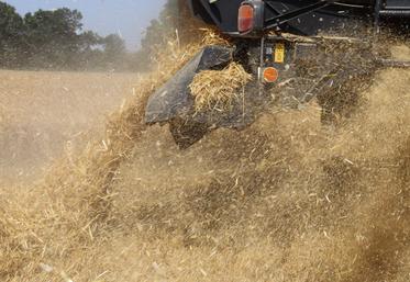 Le battage de l'orge est lancé dans le sud du département.
