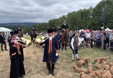 Trompe de chasse, chasse à cour, confirmation de chiens... le programme est dense pour le monde de la chasse lors des Journées de la biodiversité tout comme pour les visiteurs attendus nombreux les 27 et 28 juin.
