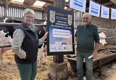 À quelques mois de leur retraite, Catherine et Gilles Chapdelaine peaufinent la vente aux enchères de leur troupeau et descendance ce 17 juin. Une journée à ne pas manquer pour repartir avec de la bonne génétique aussi bien Normande que Prim'holstein.