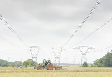 Une ligne électrique à haute tension sur une exploitation, c'est de la gêne immédiate mais aussi "une perte de chance" pour le futur.