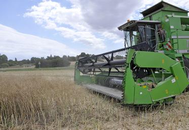 Le plateau du Neubourg, le Bessin ou encore le sud-Manche enregistrent régulièrement 40 à 45 q/ha.