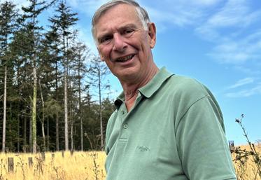 Aymeric Cauvel de Beauville a replanté différentes essences sur plus de 4 ha, là où était passée la tempête Ciaran en novembre 2023. Mais la sécheresse pourrait mettre à mal ces jeunes plants.