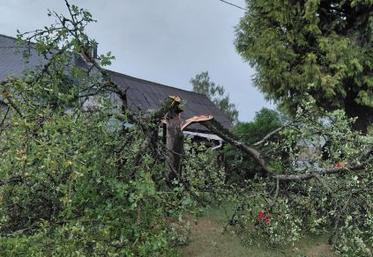 La tornade a fait de nombreux dégâts sur Saint-James et Pontorson.