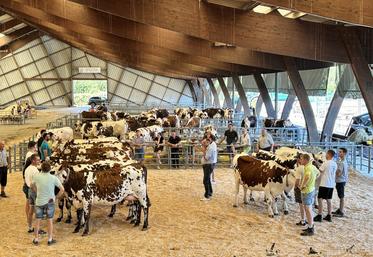 Les comices agricoles comme les concours d'arrondissement retrouvent de la couleur.