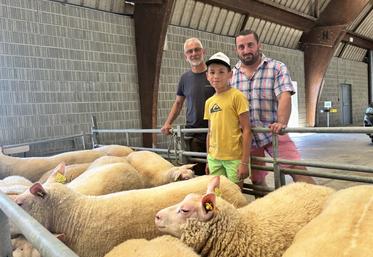Au concours d'arrondissement d'Avranches le 8 juillet, Nicolas Avenel remporte le championnat mâle et femelle ainsi que le prix d'ensemble. Il est suivi de près par Olivier Lejamtel de Le Mesnil-Ozenne. Les deux hommes ont la même passion. D'ailleurs, le bélier présenté l'année dernière au Salon de l'agriculture à Paris par Nicolas Avenel est devenu champion. Il provenait de l'élevage de son collègue.