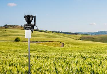 L'entreprise Sencrop, spécialisée dans l'agro-météo,  rassemble plus de 40 000 stations connectées actives. 