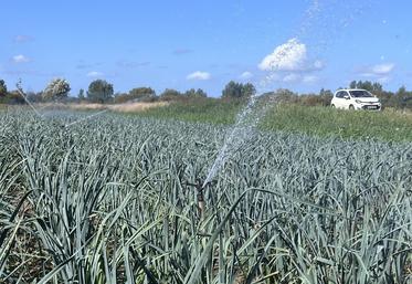 L'irrigation dest désormais interdites sur tout le département de la Manche entre 11h et 18h, même pour les cultures qui bénéficient d'une dérogation d'arrosage.