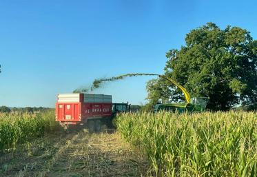 Le chantier d'ensilage chez Guillaume Larchevêque et son associé Gilles Marchand a démarré avec un mois d'avance par rapport à des années normales.