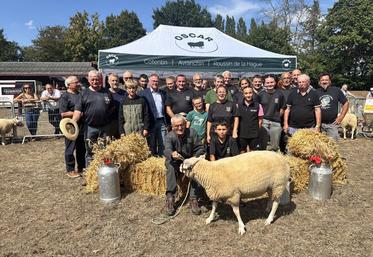 Treize éleveurs de la Manche et du Calvados ont participé au concours du Cotentin, marquant les 101 ans de la race fêtés dans le cadre du comice agricole Brécey/Saint-Pois.