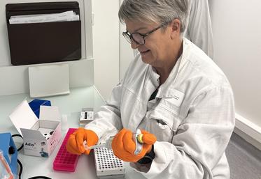 Au sein de Labéo, les tests PCR sont réalisés pour déceler le nouveau virus Shamonda-Europe.