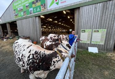 Les Normandes prennent le frais au peitt matin du premier jour de la foire de Lessay, vendredi 11 septembre 2026.