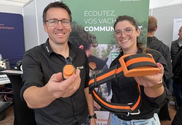 David Savary et Morgane Houdus, conseillers monitoring chez iOtee : à gauche la boucle d'oreille, à droite le traditionnel collier de vêlage.