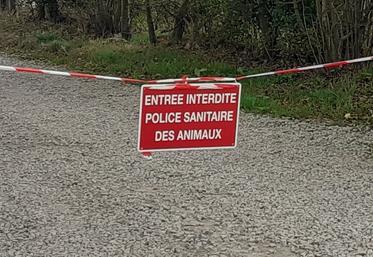 La Ferme de Béthanie, à Picauville, a joué le rôle de l'exploitation d'origine des bovins contaminés