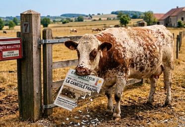 La vache aurait mangé la prime et le journal ! Double ration.